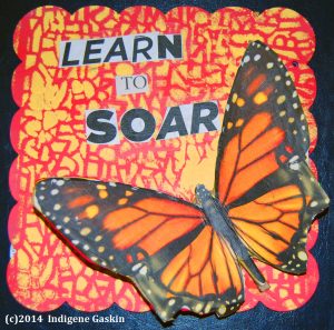 Indigene Art Forms Learn To Soar