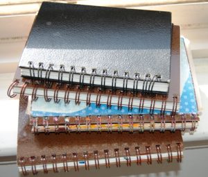 Indigene Art Forms Spiral Journals